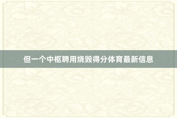 但一个中枢聘用烧毁得分体育最新信息