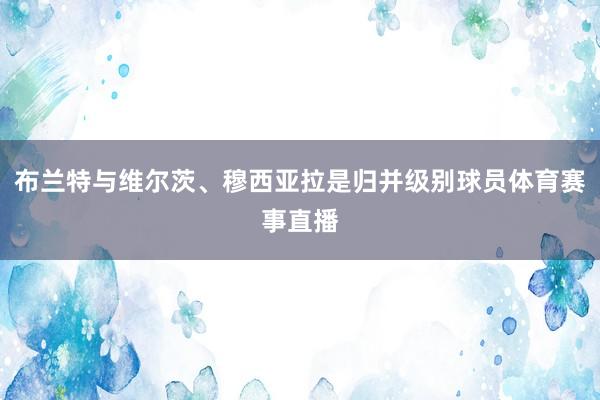 布兰特与维尔茨、穆西亚拉是归并级别球员体育赛事直播