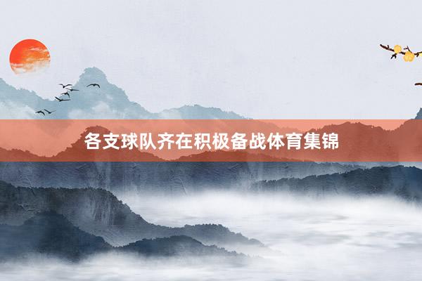 各支球队齐在积极备战体育集锦