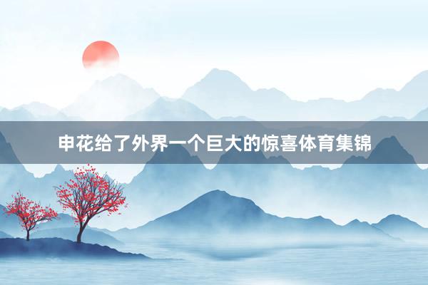 申花给了外界一个巨大的惊喜体育集锦