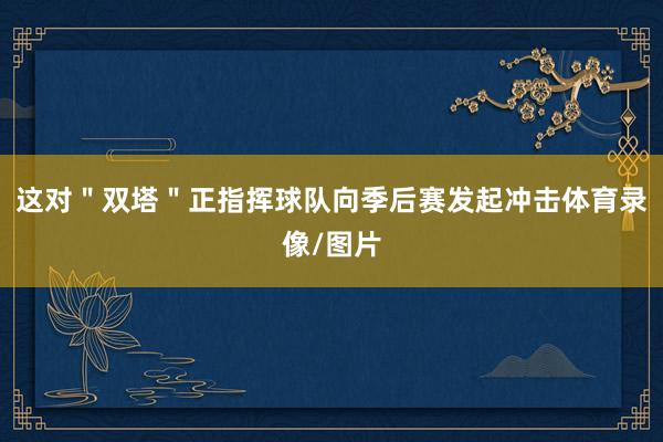 这对＂双塔＂正指挥球队向季后赛发起冲击体育录像/图片